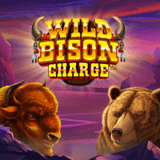 Wild Bison Charge